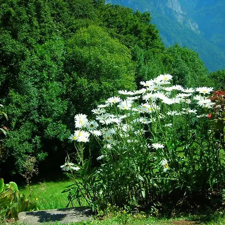 Chalé Valdonga